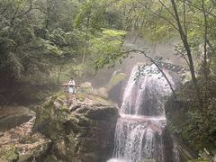 -牛背梁国家森林公园