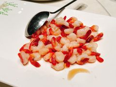 -蝶园·装修中(BFC外滩金融中心店)