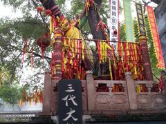 -大槐树寻根祭祖园