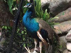 -福州罗源湾海洋世界旅游区