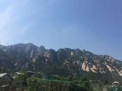 -闻道食府烙饼卷带鱼(原车耳营店原大觉寺店)