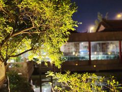 -东江渔村·古典园林·30年粤菜老字号(太和店)