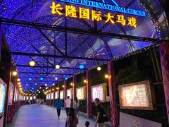 -广州长隆国际大马戏