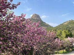 -威海大乳山景区
