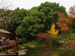 -上海滨江森林公园