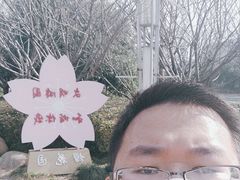 -高东镇樱花园