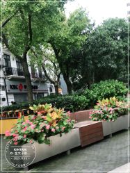 -金太子形象设计