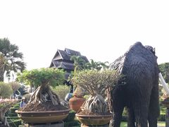 -东芭乐园