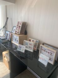 -JNK皮肤管理中心