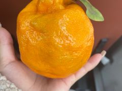 -尤素福东举院饺子馆