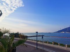-芒洲湿地公园