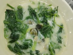 -鸽鸟轩(石岐店)