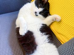 -路易时光(蕴川路店)