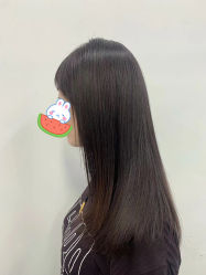 -蚂蚁造型俱乐部