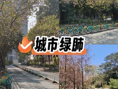 -荔湾湖公园