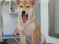 -佳雯宠物医院(金华南路分院)