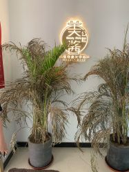 -美酱公社·轻奢美肤中心
