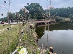 -三水森林公园