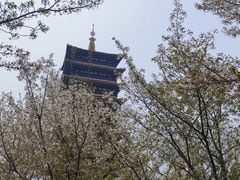 -牛首山文化旅游区