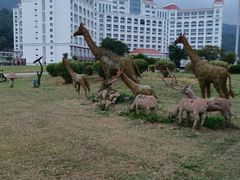 -罗浮山嘉宝田森林温泉度假酒店