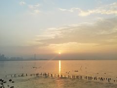 -粤学粤好·港式粤语文化及学习中心(福田南山都有店)