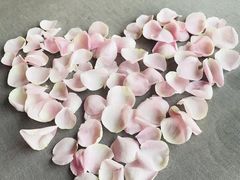 -SIR ELLY'S 艾利爵士餐厅