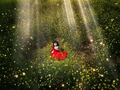 -正午照相馆·全家福·证件照·轻写真