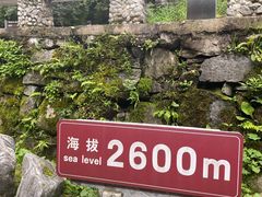-苍山感通索道