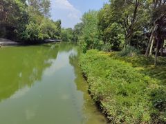 -西溪国家湿地公园