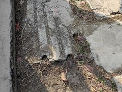 -小鱼草莓采摘园农家乐·小鱼餐厅