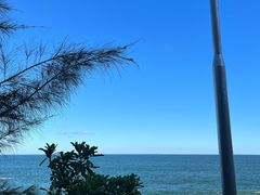 -广东惠东海龟国家级自然保护区