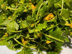 山芹菜拌海胆-日丰园海肠水饺·老字号大连海鲜(和平广场店)