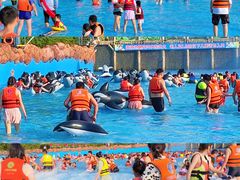 -郑州方特水上乐园