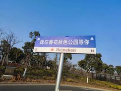 -春花秋色城市公园