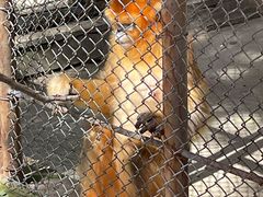 -哈尔滨北方森林动物园