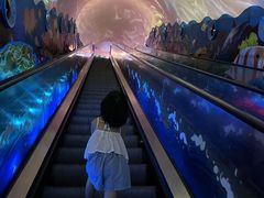 -成都浩海立方海洋公园