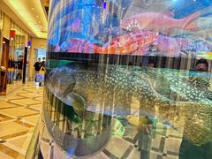 -金翠皇宫粤菜·点心·海鲜(科技园店)