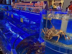 水产区-新海渔港·胶东海鲜家常菜·家宴(奥体中心店)