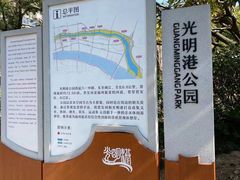 -光明港公园
