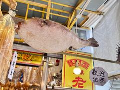 -大澳
