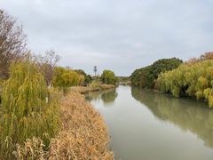 -江滩湿地公园