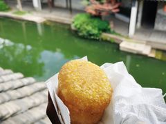-黎里古镇