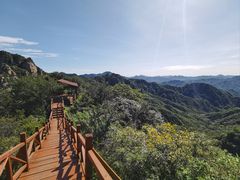 -大岭沟猕猴桃谷风景区