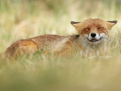 -螺世纪螺蛳粉·桂味小排档(裕德店)