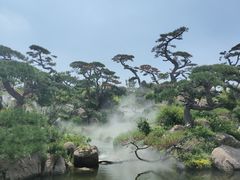 -罗红摄影艺术馆