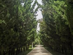 -洛阳市隋唐城遗址植物园