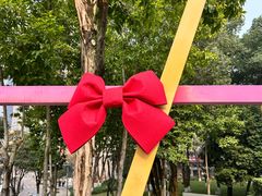 -重庆市江北嘴中央商务区中央公园