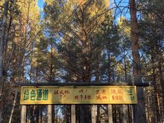 -北极村旅游风景区