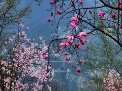 -九皇山景区