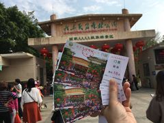 -广东茂名森林公园